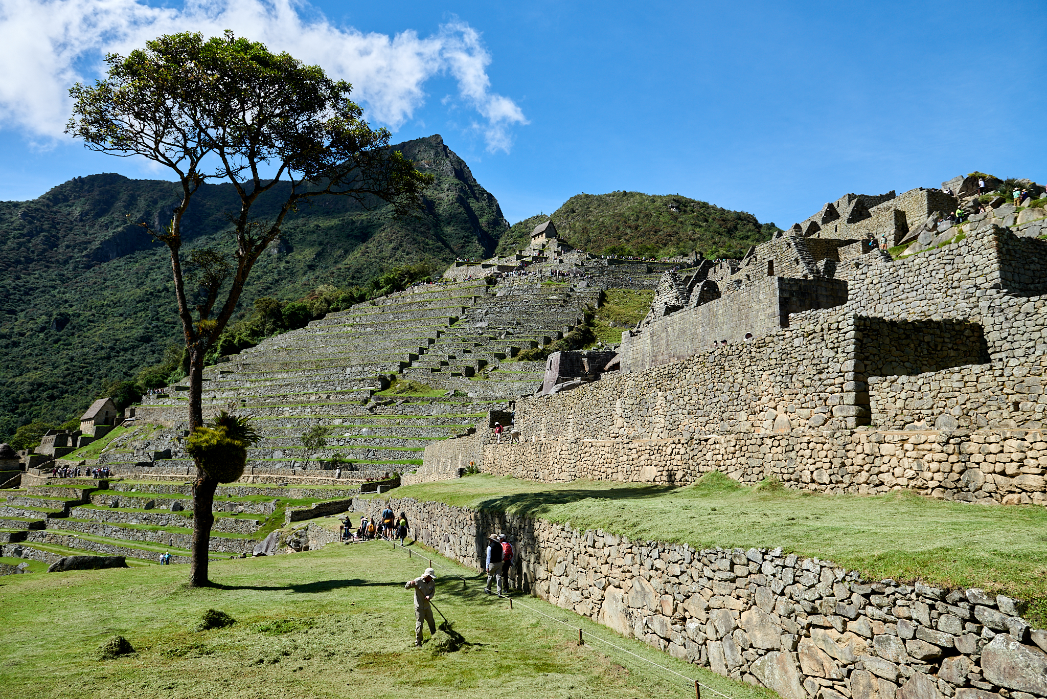 20200308 675 [페루] 마추픽추